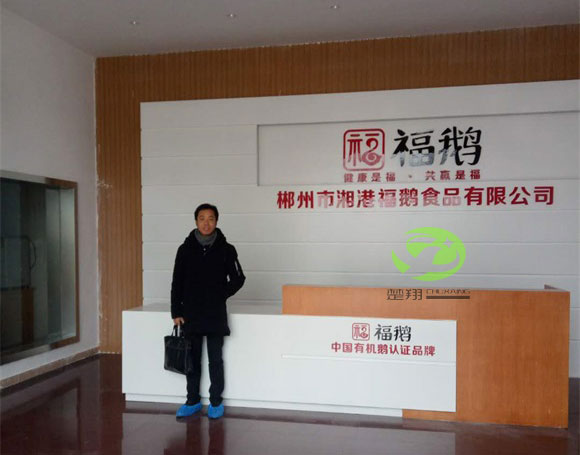 郴州福鹅食品草莓视频黄色的车间装修工程(图2)