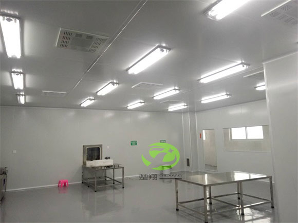 郴州福鹅食品草莓视频黄色的车间装修工程(图4)