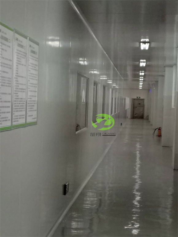 郴州福鹅食品草莓视频黄色的车间装修工程(图10)